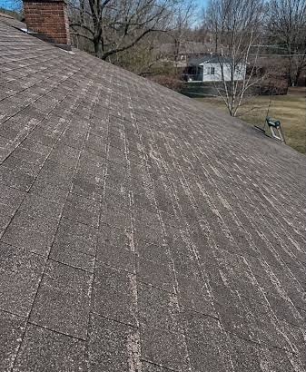 shingle roof restoration before — roof rejuvenation by Prime Softwash in St. Johns County, FL