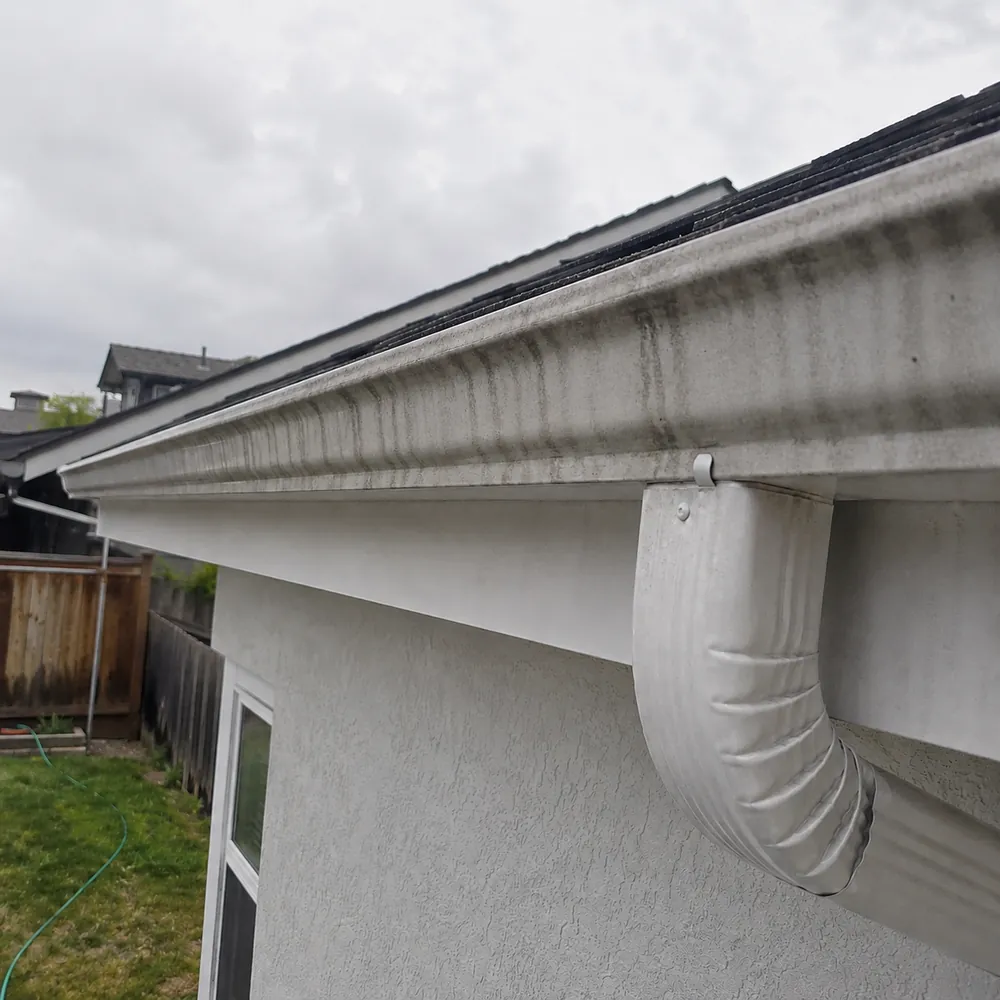 Gutter Cleaning before soft washing by Prime Softwash in St. Johns County, FL