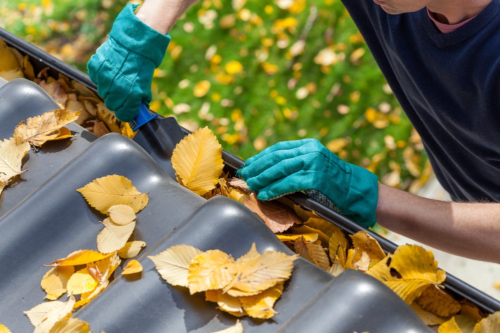 Man,Cleaning,The,Gutter,From,Autumn,Leaves